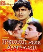 Phool Aur Angaar 1993 song download